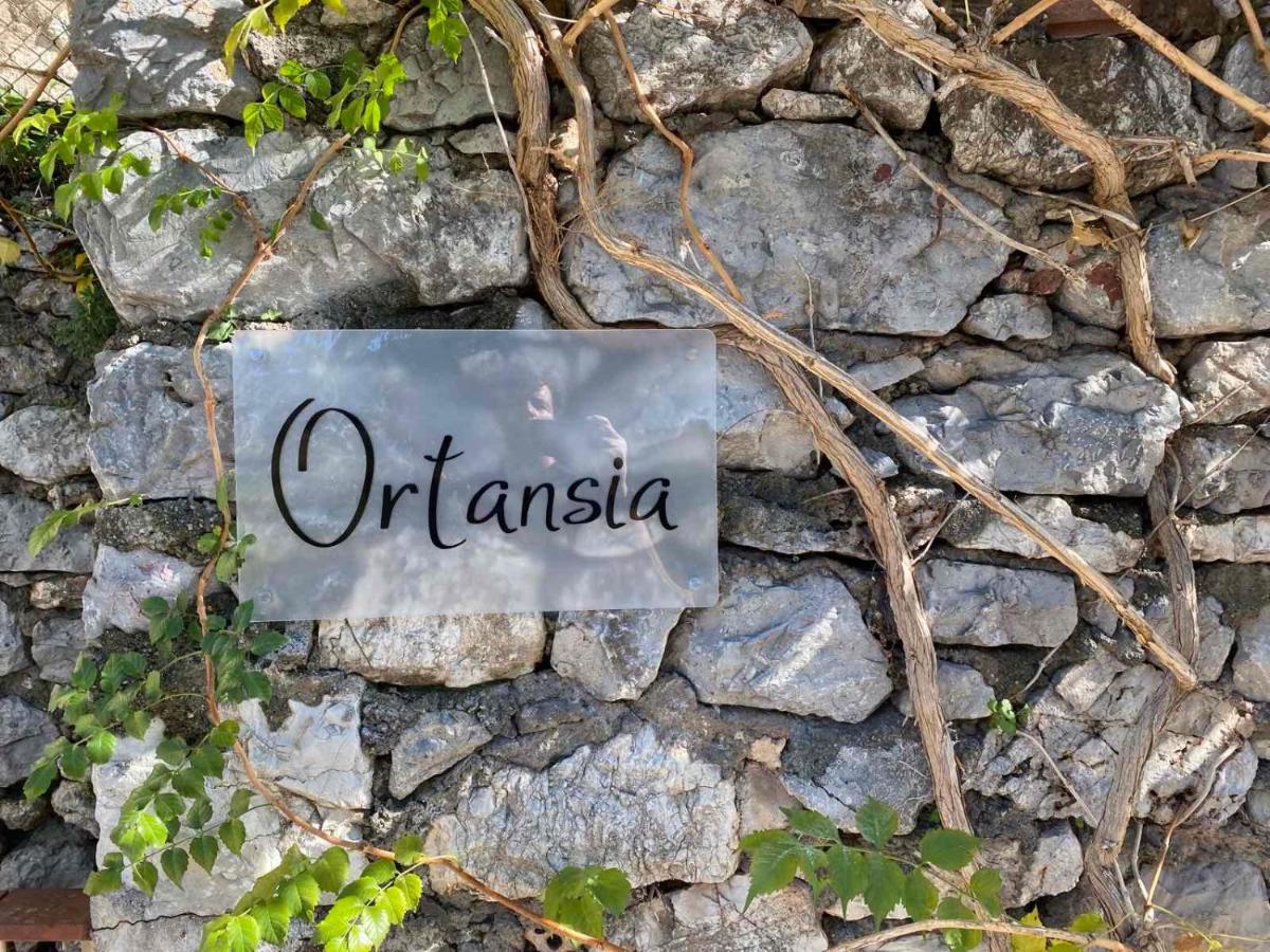 Ortansia Apartment ดีมิตซานา ภายนอก รูปภาพ