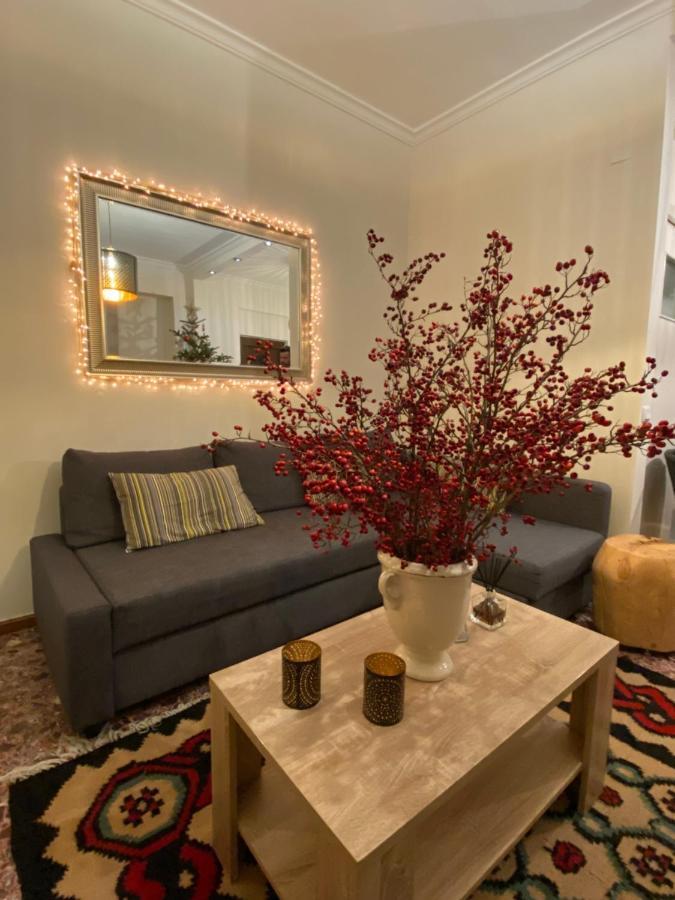 Ortansia Apartment ดีมิตซานา ภายนอก รูปภาพ