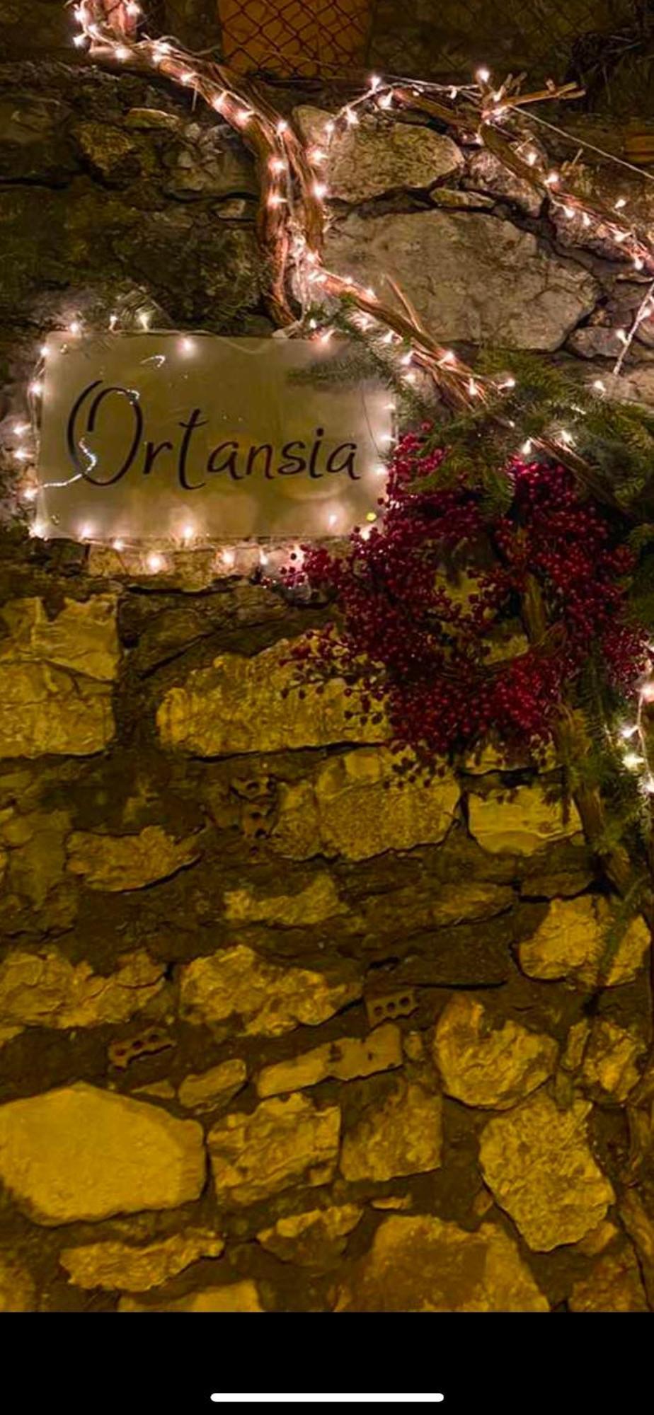 Ortansia Apartment ดีมิตซานา ภายนอก รูปภาพ